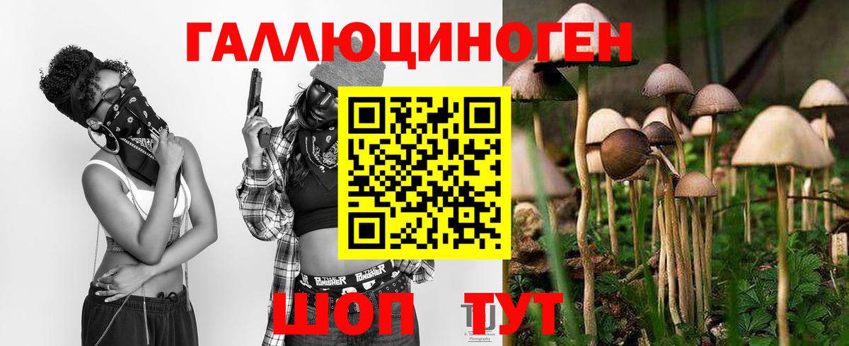 Псилоцибиновые грибы мицелий  Псилоцибиновые грибы прущие грибы  Вход с VPN  Уварово 
